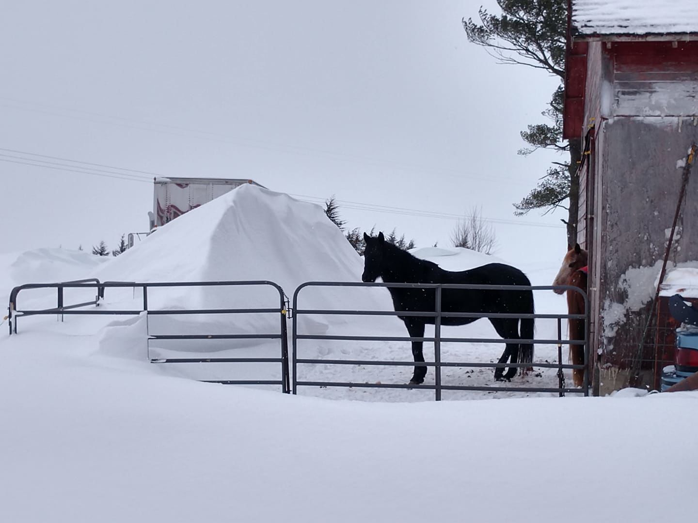 Snow drift